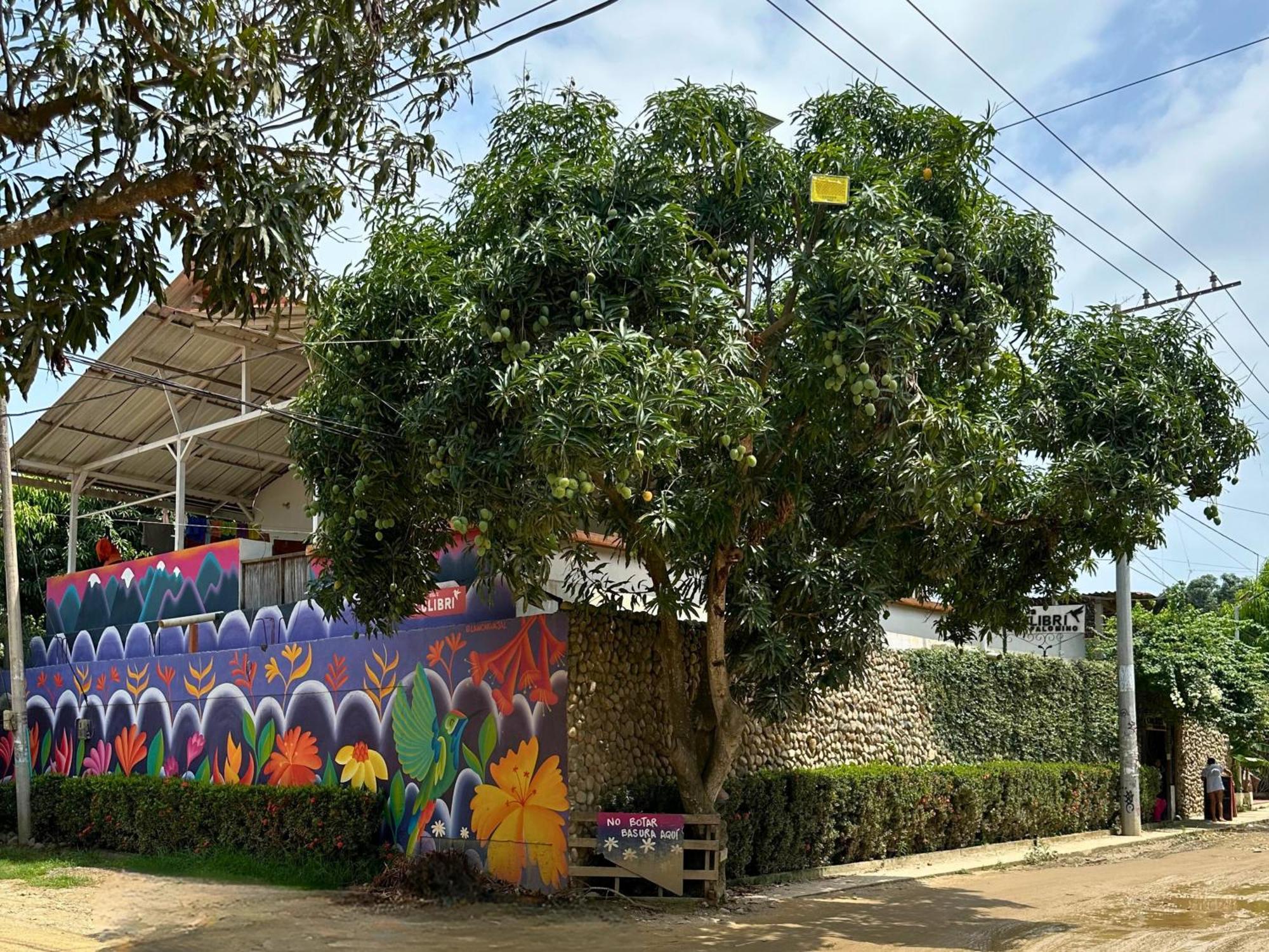 Hotel Casa Colibri Palomino Exterior foto